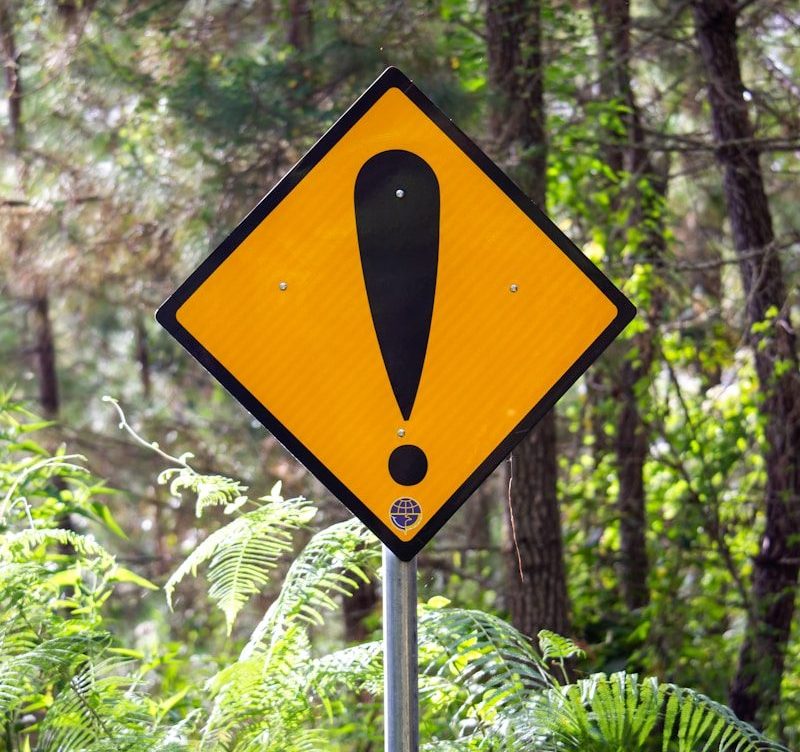 yellow and black road sign